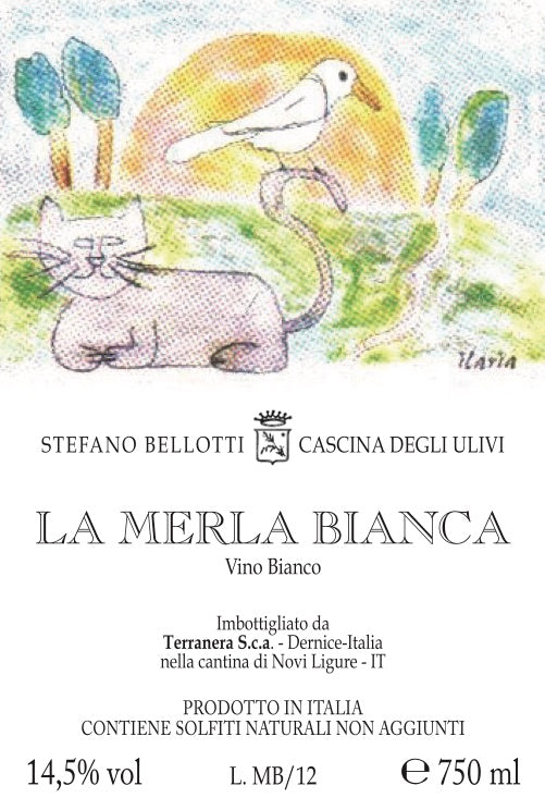 La Merla Bianca - CV
