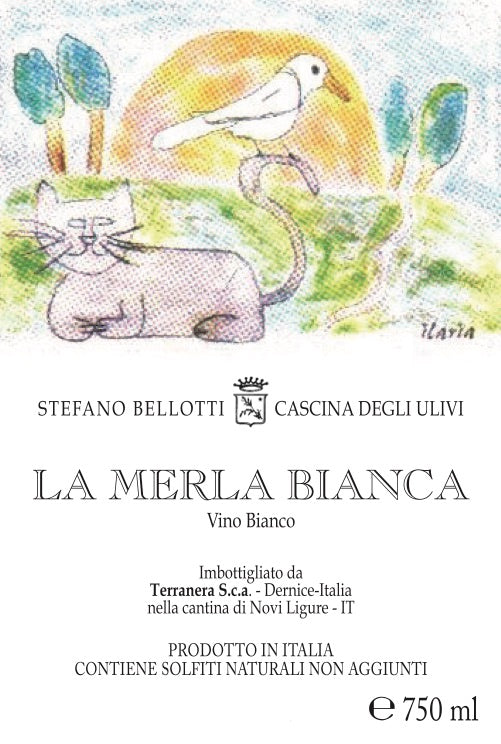 La Merla Bianca